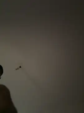 SEX TANRISII online show from 09/11/25, 01:33