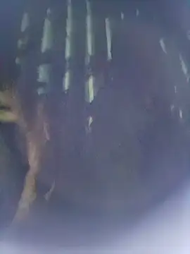 8133vaibhavh online show from 10/09/25, 02:50