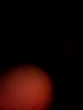 21Supercazzo21 online show from 09/23/25, 06:26