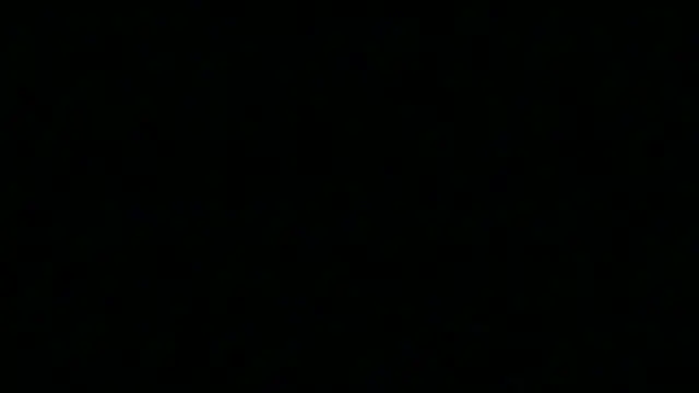 Pyrelissa online show from 12/04/25, 06:34