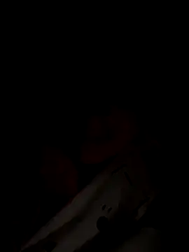 Dakota Evanns online show from 11/28/25, 06:24