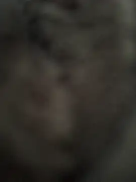 Immerhartundgeil online show from 05/09/26, 06:17