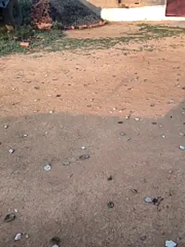 Ag punam online show from 02/10/26, 02:10