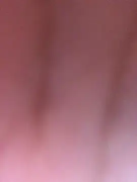 luzmelzinha online show from 04/02/26, 01:57