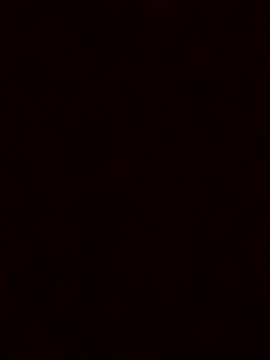 luzmelzinha online show from 11/23/25, 05:39