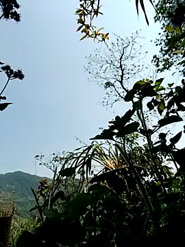 kemtuoi-sex online show from 04/08/26, 03:19