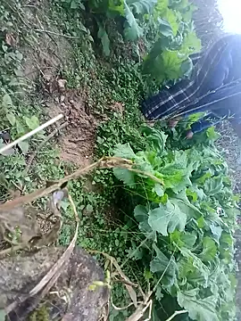 kemtuoi-sex online show from 01/17/26, 10:30