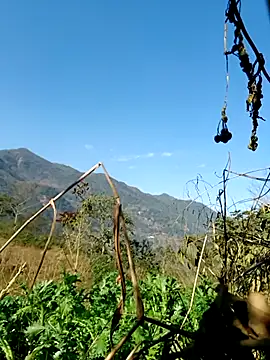 kemtuoi-sex online show from 02/05/26, 08:10