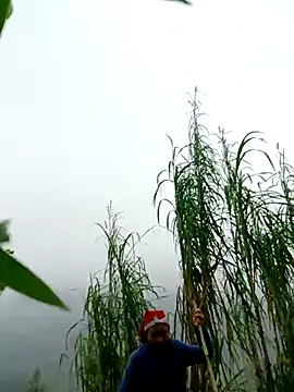 kemtuoi-sex online show from 04/01/26, 02:57