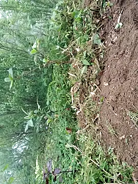 kemtuoi-sex online show from 04/19/26, 09:43