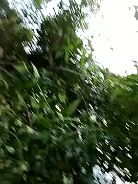 Snapshot of -Xuka-200 chatting on 10/20/25, 09:54 -Xuka-200 online show from 10/20/25, 09:54