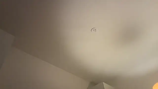 Swedishfish69 online show from 02/08/26, 04:37