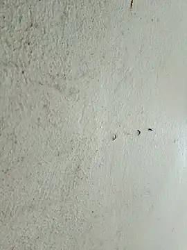 kata-00 online show from 03/14/26, 05:35