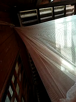 kata-00 online show from 01/18/26, 05:44