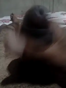 Snapshot of Tc777fun chatting on 11/22/25, 11:47 Tc777fun online show from 11/22/25, 11:47