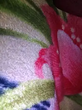 Chanderi19 online show from 03/14/26, 06:58