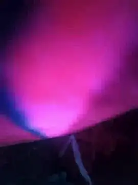 Chanderi19 online show from 12/13/25, 08:04