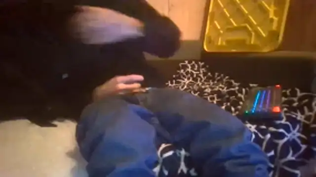 Sillycatfish online show from 12/20/25, 09:56