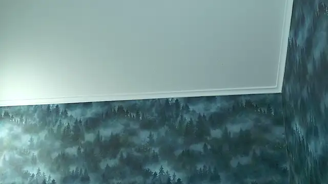 MarkShot  online show from 11/08/25, 04:32