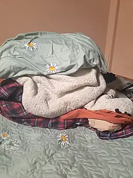 Ansiasex online show from 11/10/25, 04:23