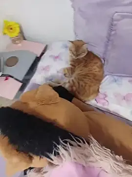 sweetdubros2 online show from 03/08/26, 03:43