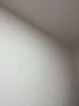 Anabelle 00  online show from 03/22/26, 03:21