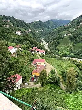 LAZ3R1 online show from 10/02/25, 10:29