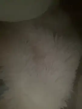 Snapshot of ruiki666 chatting on 03/09/26, 08:07 ruiki666 online show from 03/09/26, 08:07