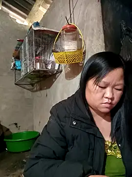 riso-00 online show from 01/09/26, 06:53