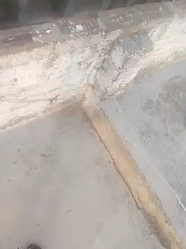 haryanaboypanipat12 online show from 04/18/26, 01:08