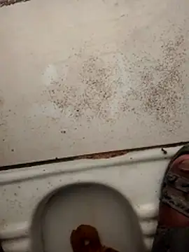 haryanaboypanipat12 online show from 03/17/26, 01:19