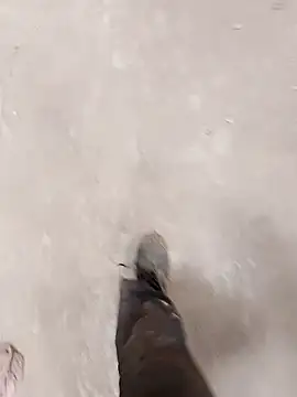 haryanaboypanipat12 online show from 04/09/26, 07:25