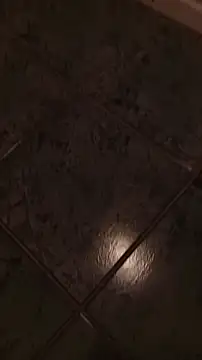 dani0069 online show from 01/11/26, 06:31