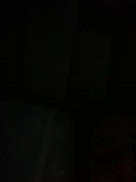 EvelynBun online show from 01/14/26, 11:36