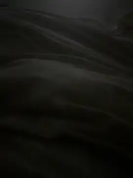 Snapshot of dlasian2026 chatting on 11/04/25, 04:55 dlasian2026 online show from 11/04/25, 04:55