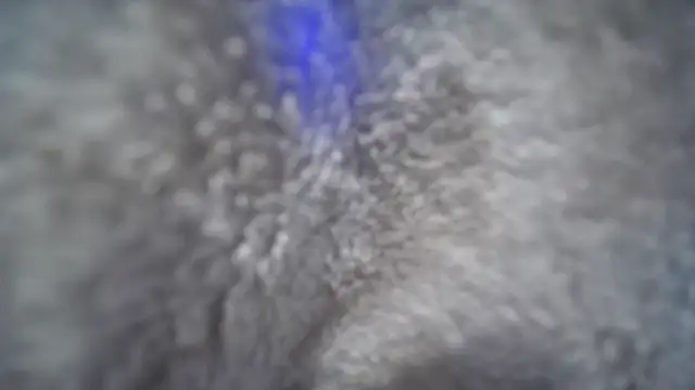 jasoncali305 online show from 11/20/25, 07:03