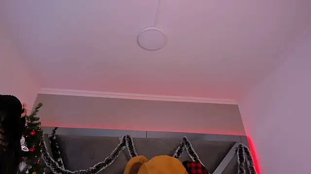 MariaFlowers online show from 11/27/25, 07:25