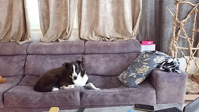 Alexis21821 online show from 02/27/26, 08:14