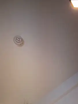 Andrestarr online show from 03/11/26, 06:46