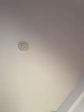 Andrestarr online show from 03/19/26, 02:28