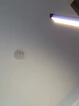 Andrestarr online show from 02/10/26, 11:53