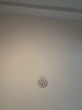 Andrestarr online show from 02/08/26, 11:30