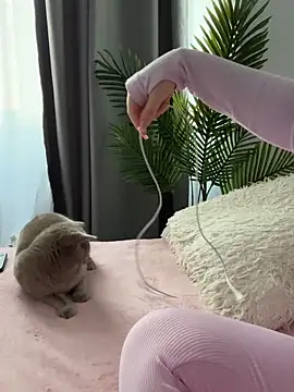 Andrestarr online show from 03/14/26, 02:56