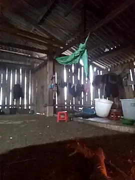 Snapshot of bonnie-00 chatting on 01/06/26, 12:14 bonnie-00 online show from 01/06/26, 12:14