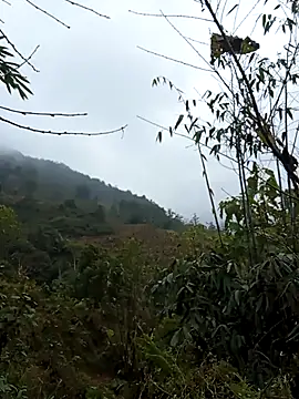 Snapshot of bonnie-00 chatting on 01/07/26, 02:49 bonnie-00 online show from 01/07/26, 02:49