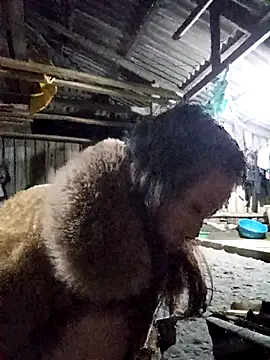 bonnie-00 online show from 11/14/25, 10:46