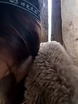 bonnie-00 online show from 12/14/25, 09:04