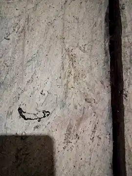 bonnie-00 online show from 11/06/25, 10:58