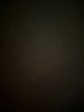 SienaWild online show from 01/11/26, 04:08