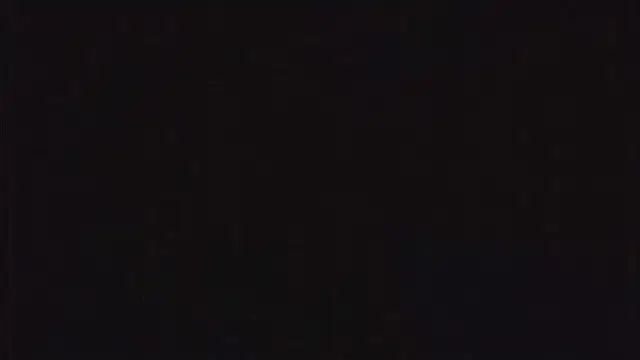 SienaWild online show from 12/23/25, 03:17